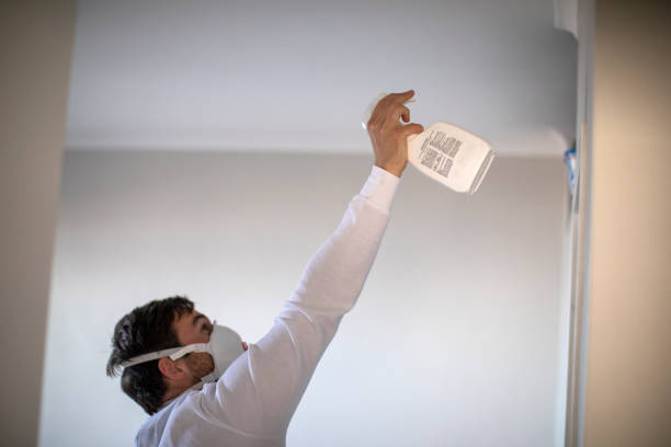 Best Commercial Mold Removal  in New Whiteland, IN